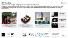 DIY Trend Report Research Insight 6