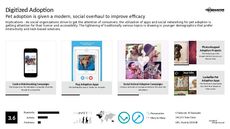 Social Networking Trend Report Research Insight 2