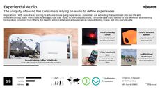 Flat Screen Trend Report Research Insight 6